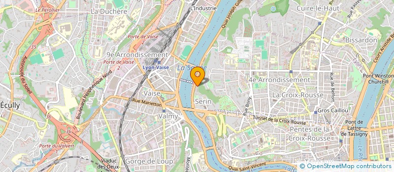localisation de l'entreprise MONSIEUR DENIS VERNEAU à LYON