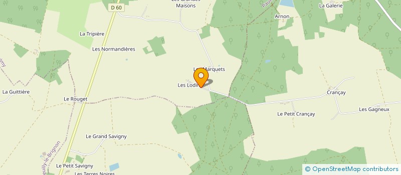 localisation de l'entreprise MONSIEUR DENIS VITEL  BETZ-LE-CHATEAU