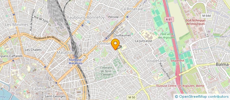 localisation de l'entreprise MONSIEUR DENIS WEBER à TOULOUSE