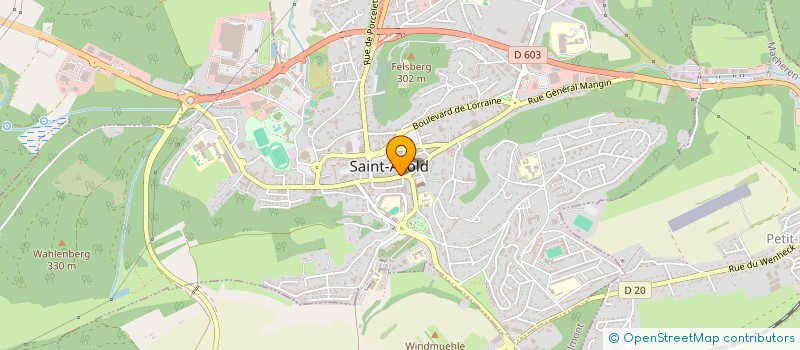 localisation de l'entreprise MONSIEUR DENIZ TEKGOZ  SAINT-AVOLD