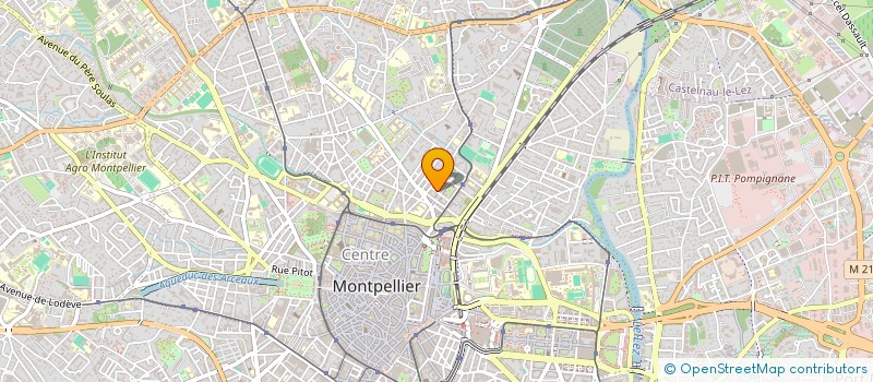 localisation de l'entreprise MONSIEUR DESIRE BOUSSOUGOU NZAMBA à MONTPELLIER