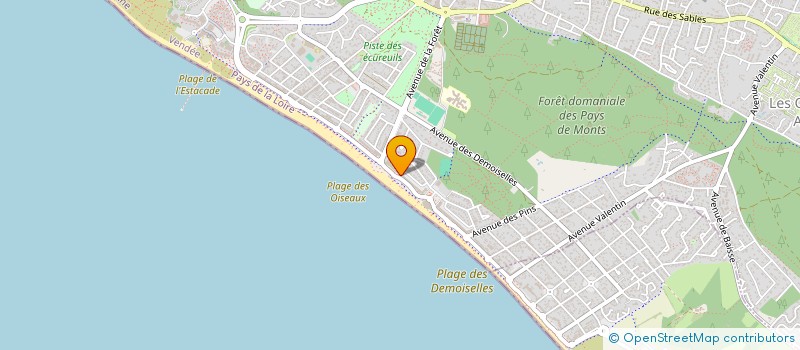 localisation de l'entreprise MONSIEUR DESIRE FILLIERE  SAINT-JEAN-DE-MONTS