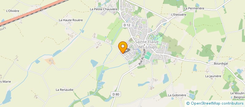 localisation de l'entreprise MONSIEUR DEVLYN ORIEUX  SAINTE-FLAIVE-DES-LOUPS