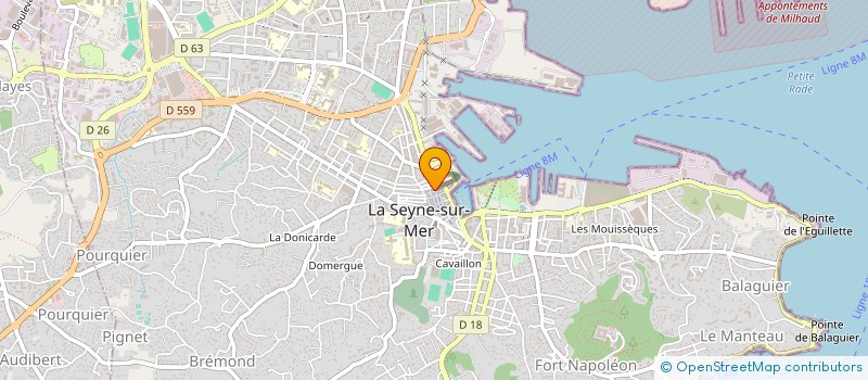 localisation de l'entreprise MONSIEUR DHAOUADI MOHAMED  LA SEYNE-SUR-MER