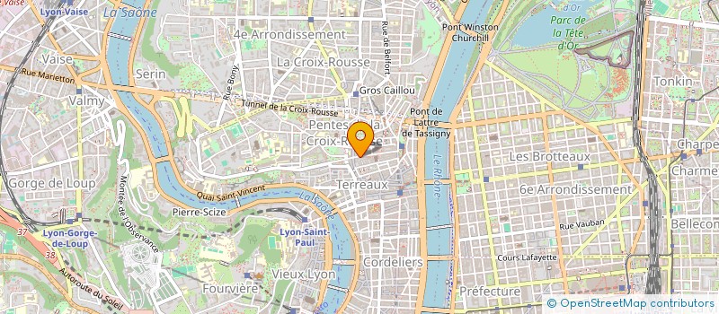 localisation de l'entreprise MONSIEUR DHIA SOUIHI à LYON