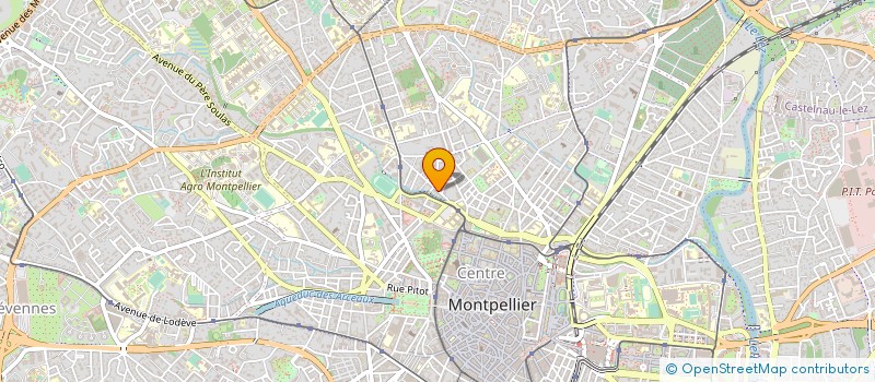 localisation de l'entreprise MONSIEUR DI SCOTTO à MONTPELLIER