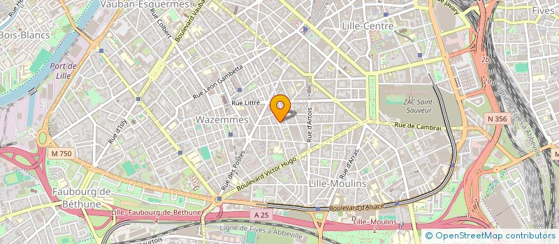 localisation de l'entreprise MONSIEUR DIABY MOUCTAR  LILLE
