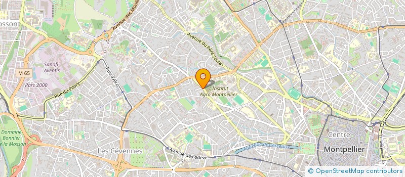 localisation de l'entreprise MONSIEUR DIALLO OUSMANE à MONTPELLIER