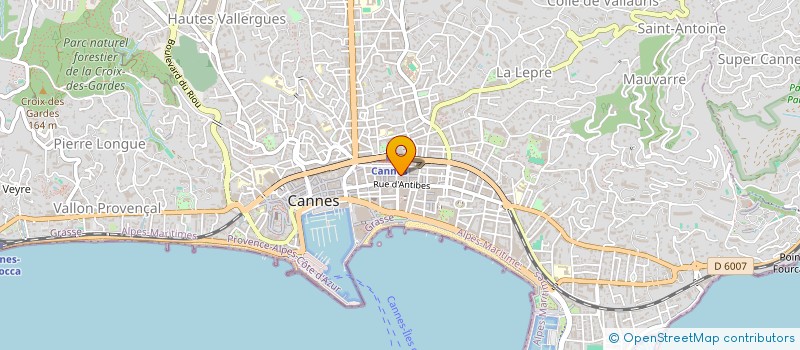 localisation de l'entreprise MONSIEUR DIARMUID CAREW  CANNES