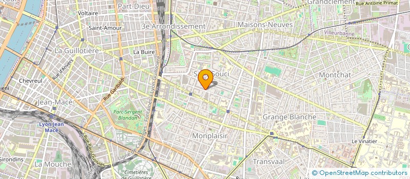 localisation de l'entreprise MONSIEUR DIDIER ANNE  LYON