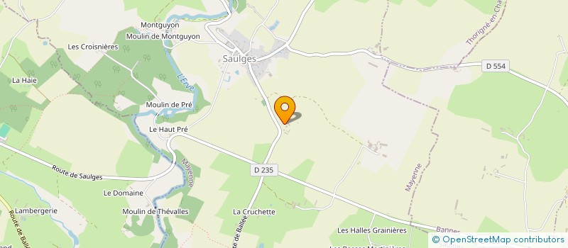 localisation de l'entreprise MONSIEUR DIDIER ANNE  CHEMERE-LE-ROI