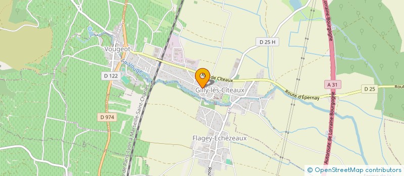 localisation de l'entreprise MONSIEUR DIDIER AUDIARD  GILLY-LES-CITEAUX