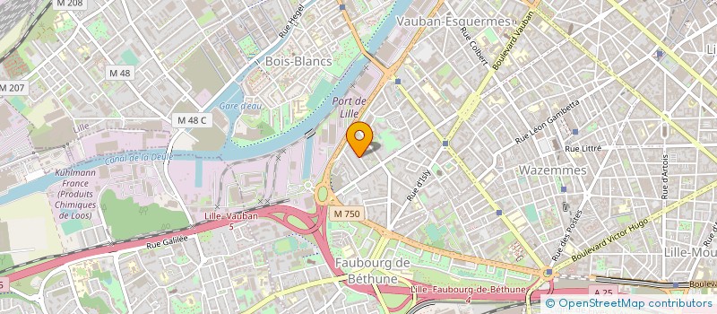 localisation de l'entreprise MONSIEUR DIDIER BAUDOUIN à LILLE
