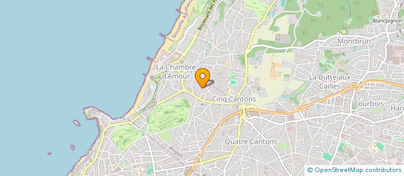 localisation de l'entreprise MONSIEUR DIDIER BERGOGNON  ANGLET