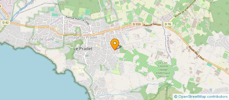 localisation de l'entreprise MONSIEUR DIDIER BERTRAND  LE PRADET
