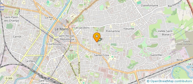localisation de l'entreprise MONSIEUR DIDIER BORDES à LE MANS