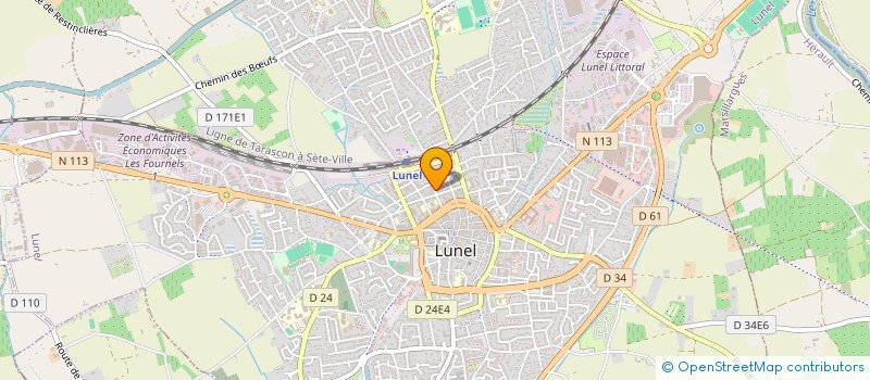 localisation de l'entreprise MONSIEUR DIDIER BRECHET à LUNEL