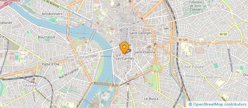 localisation de l'entreprise MONSIEUR DIDIER CASTEX à TOULOUSE