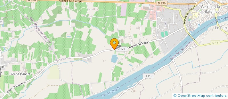 localisation de l'entreprise MONSIEUR DIDIER CHEVALIER à SAINT-MAGNE-DE-CASTILLON