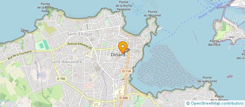 localisation de l'entreprise MONSIEUR DIDIER CHEVILLON  DINARD