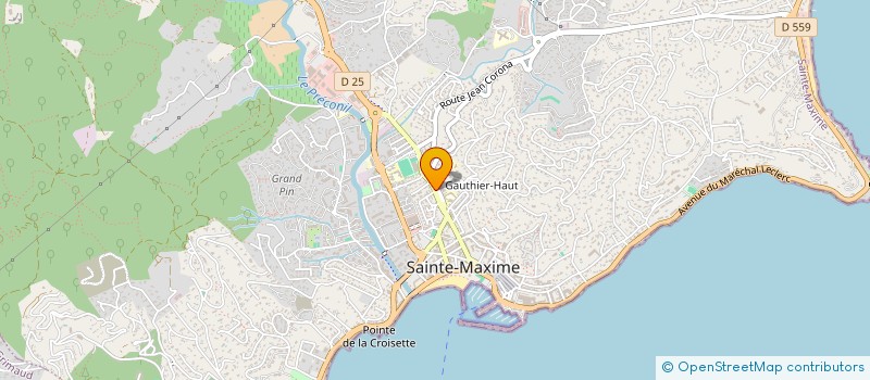 localisation de l'entreprise MONSIEUR DIDIER COTTINEAU à SAINTE-MAXIME