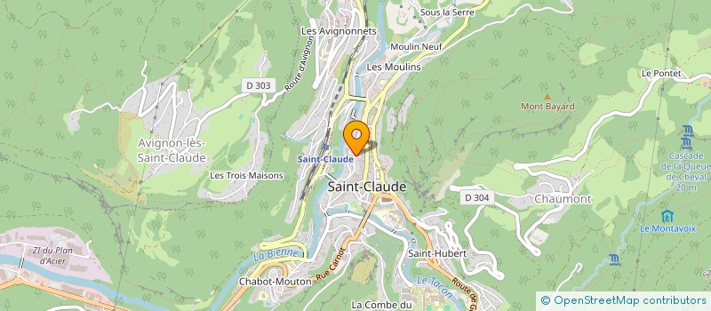 localisation de l'entreprise MONSIEUR DIDIER CUPILLARD  SAINT-CLAUDE