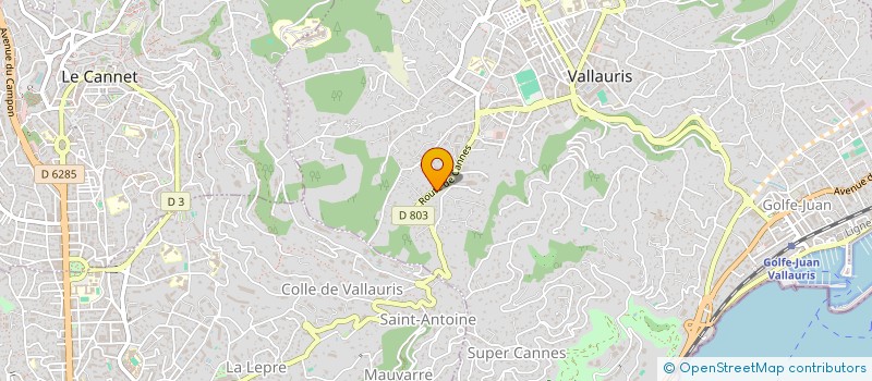 localisation de l'entreprise MONSIEUR DIDIER DANIELE à VALLAURIS