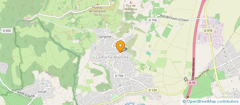 localisation de l'entreprise MONSIEUR DIDIER DARIUS  LA ROCHE-BLANCHE