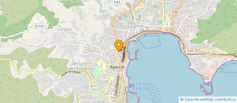 localisation de l'entreprise MONSIEUR DIDIER DAVID à AJACCIO