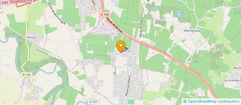 localisation de l'entreprise MONSIEUR DIDIER DELAUNAY  LES GARENNES SUR LOIRE