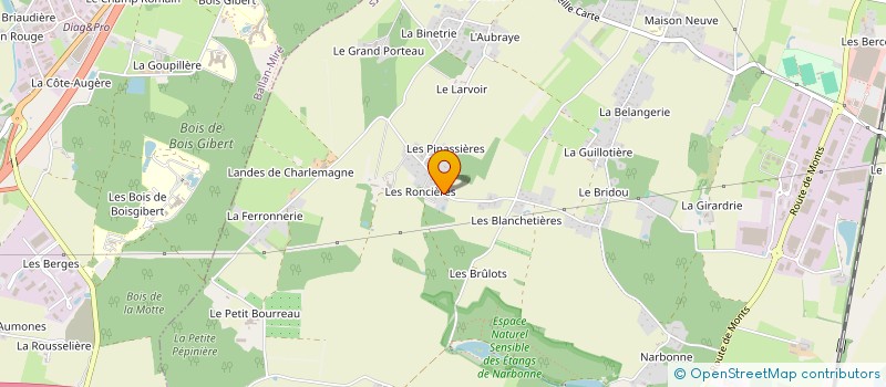 localisation de l'entreprise MONSIEUR DIDIER DUBOIS à JOUE-LES-TOURS