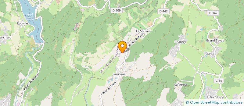 localisation de l'entreprise MONSIEUR DIDIER FINON  SAVAS