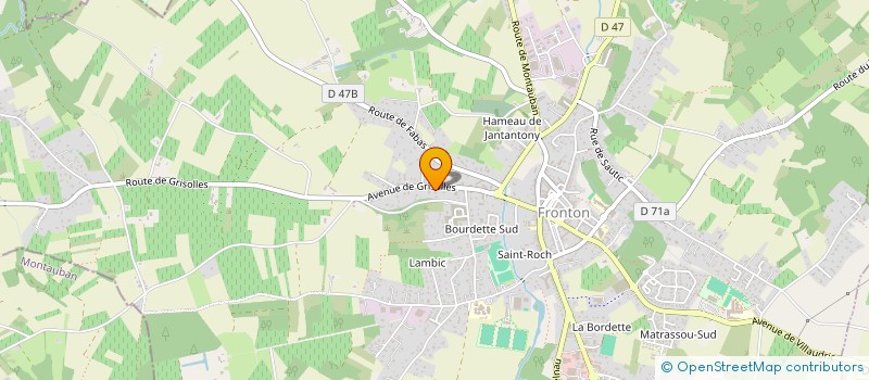 localisation de l'entreprise MONSIEUR DIDIER FLUMIAN  FRONTON