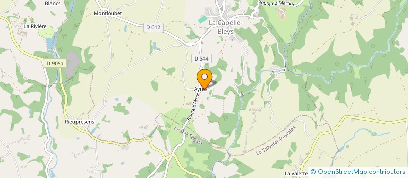 localisation de l'entreprise MONSIEUR DIDIER GARRIC  RIEUPEYROUX