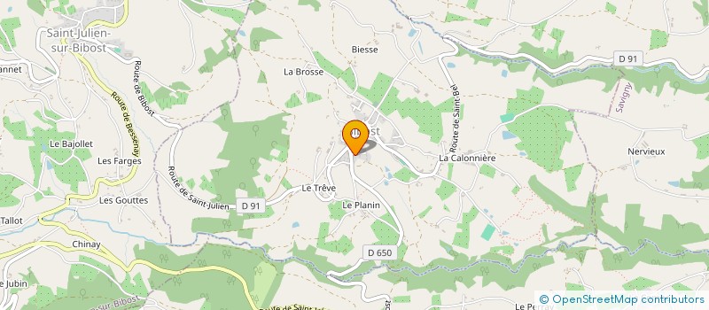 localisation de l'entreprise MONSIEUR DIDIER GIROUD à BIBOST