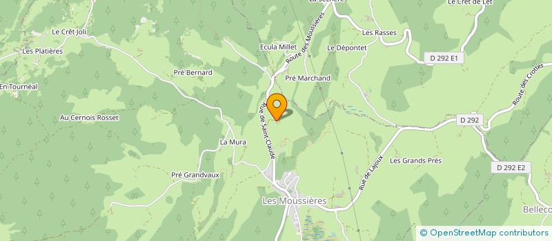 localisation de l'entreprise MONSIEUR DIDIER GROSTABUSSIAT  LES MOUSSIERES