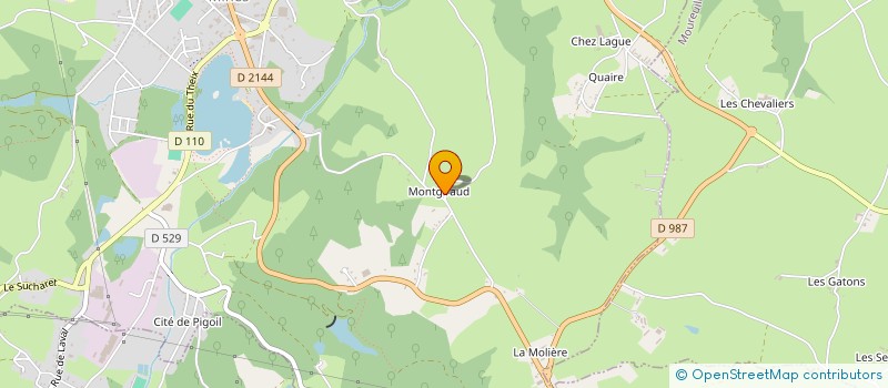 localisation de l'entreprise MONSIEUR DIDIER JAILLET à SAINT ELOY LES MINES