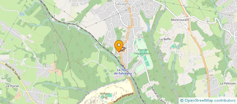 localisation de l'entreprise MONSIEUR DIDIER JEHEL  LA TOUR-DE-SALVAGNY