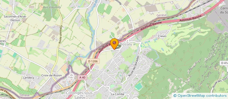 localisation de l'entreprise MONSIEUR DIDIER JOLY-POTTUZ  BOSSEY