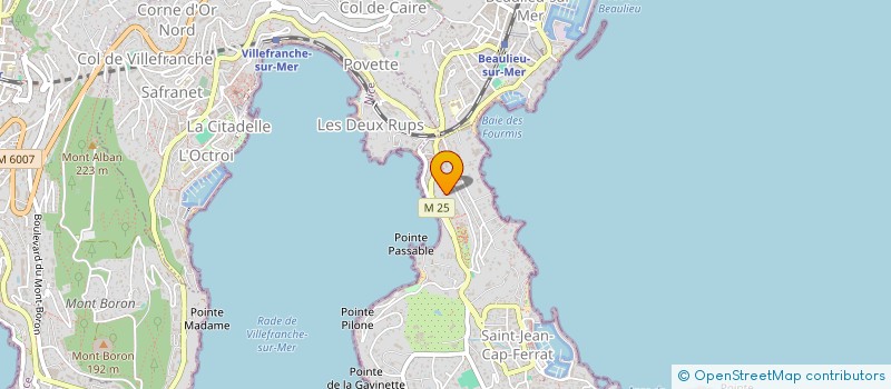 localisation de l'entreprise MONSIEUR DIDIER JULIEN  SAINT-JEAN-CAP-FERRAT