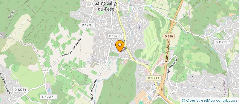 localisation de l'entreprise MONSIEUR DIDIER KRUGER  SAINT-GELY-DU-FESC