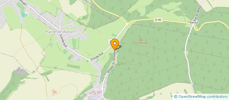 localisation de l'entreprise MONSIEUR DIDIER KRUMMENACKER  PLAINE-DE-WALSCH