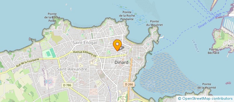 localisation de l'entreprise MONSIEUR DIDIER LECOMPTE  DINARD