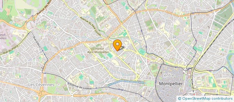 localisation de l'entreprise MONSIEUR DIDIER LEIBOVICI à MONTPELLIER