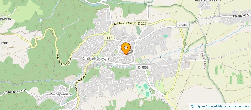 localisation de l'entreprise MONSIEUR DIDIER LEVADOUX  CHATEL-GUYON