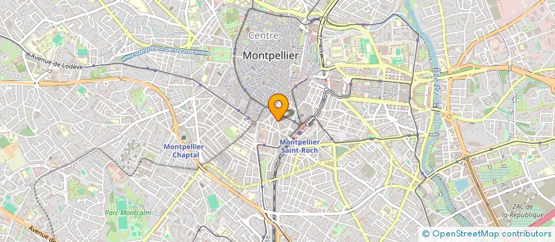 localisation de l'entreprise MONSIEUR DIDIER LEVIEUX à MONTPELLIER