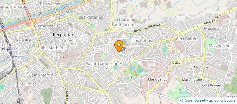 localisation de l'entreprise MONSIEUR DIDIER LION  PERPIGNAN