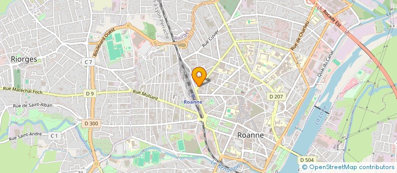 localisation de l'entreprise MONSIEUR DIDIER LIZOT à ROANNE