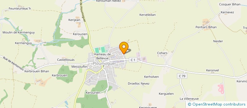 localisation de l'entreprise MONSIEUR DIDIER LOUZAOUEN  PLOUMOGUER