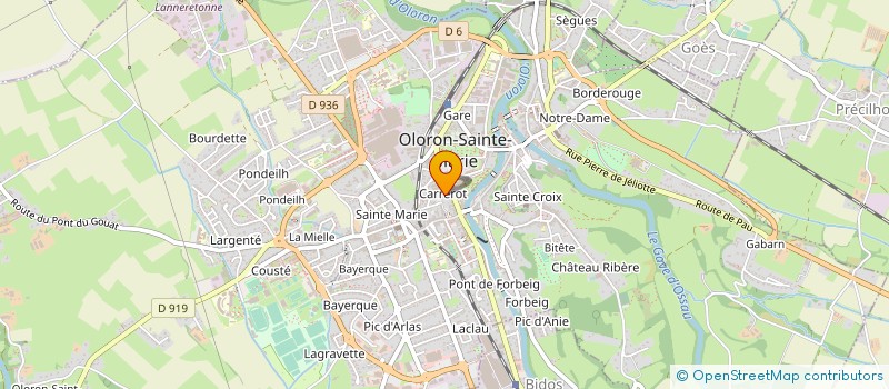 localisation de l'entreprise MONSIEUR DIDIER MARION  OLORON-SAINTE-MARIE